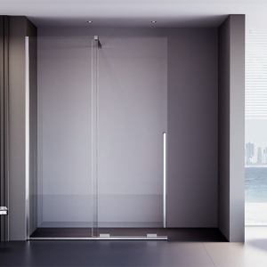Душевая дверь Veconi Premium Trento PTDW-50CH, 1000x2000, хром, стекло прозрачное Ника