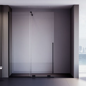 Душевая дверь Veconi Premium Trento PTDW-50B, 1000x2000, черный матовый, стекло прозрачное Ника
